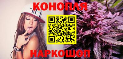 гидропоника Шебекино