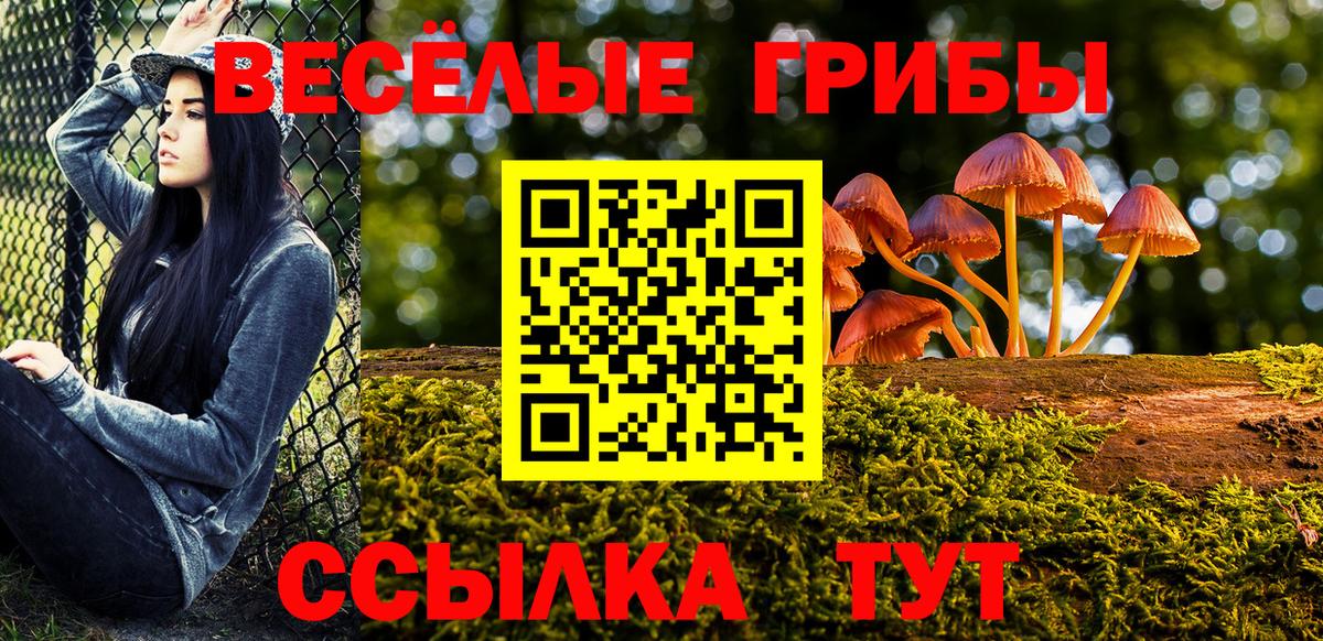 Галлюциногенные грибы MAGIC MUSHROOMS Белгород
