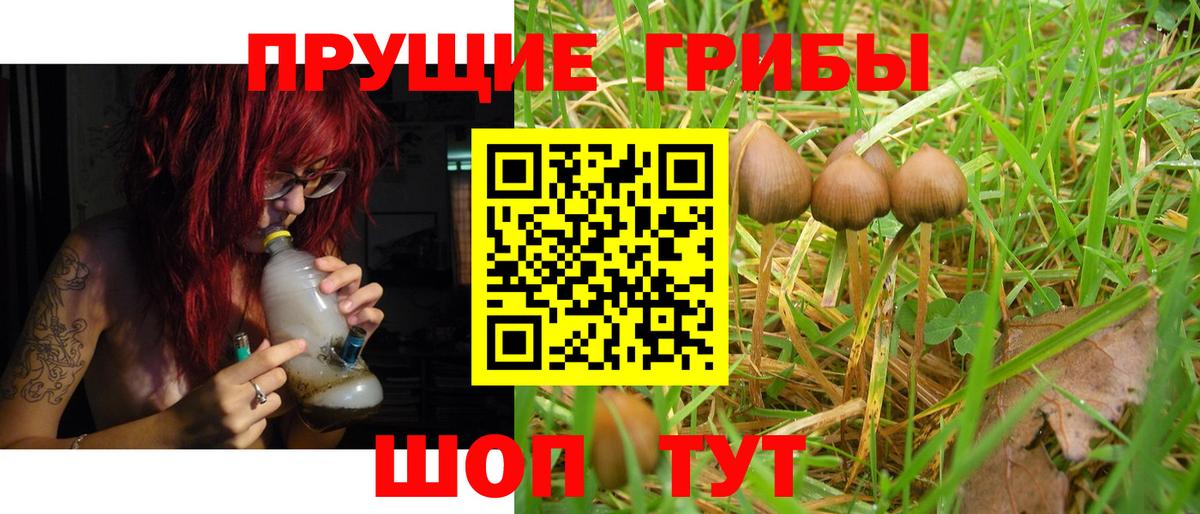 Белгород  Псилоцибиновые грибы Psilocybine cubensis  Вход с VPN 